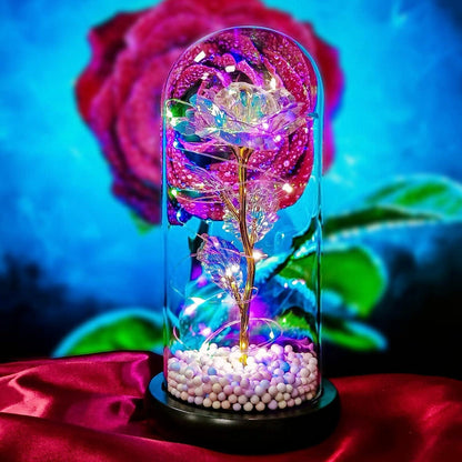 XENOBUY Rose Light Up Flower - LED Glass Decorative Lamp
