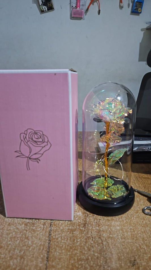 XENOBUY Rose Light Up Flower - LED Glass Decorative Lamp
