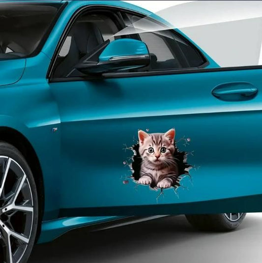Waterproof Cat Car Sticker - Premium Vinyl